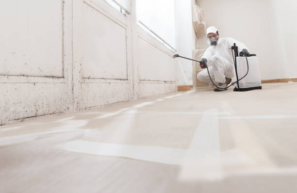 24/7 Emergency Mold Testing experts in Leander, TX