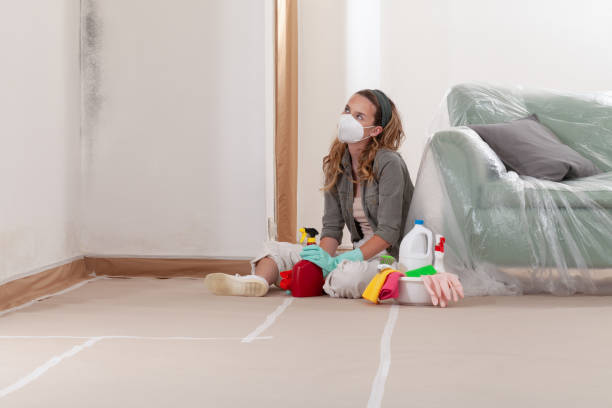 Reliable Mold Cleanup contractor in Leander, TX by Cheap Mold Removal