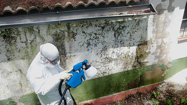 Trusted Mold Testing service in Leander, TX - Cheap Mold Removal